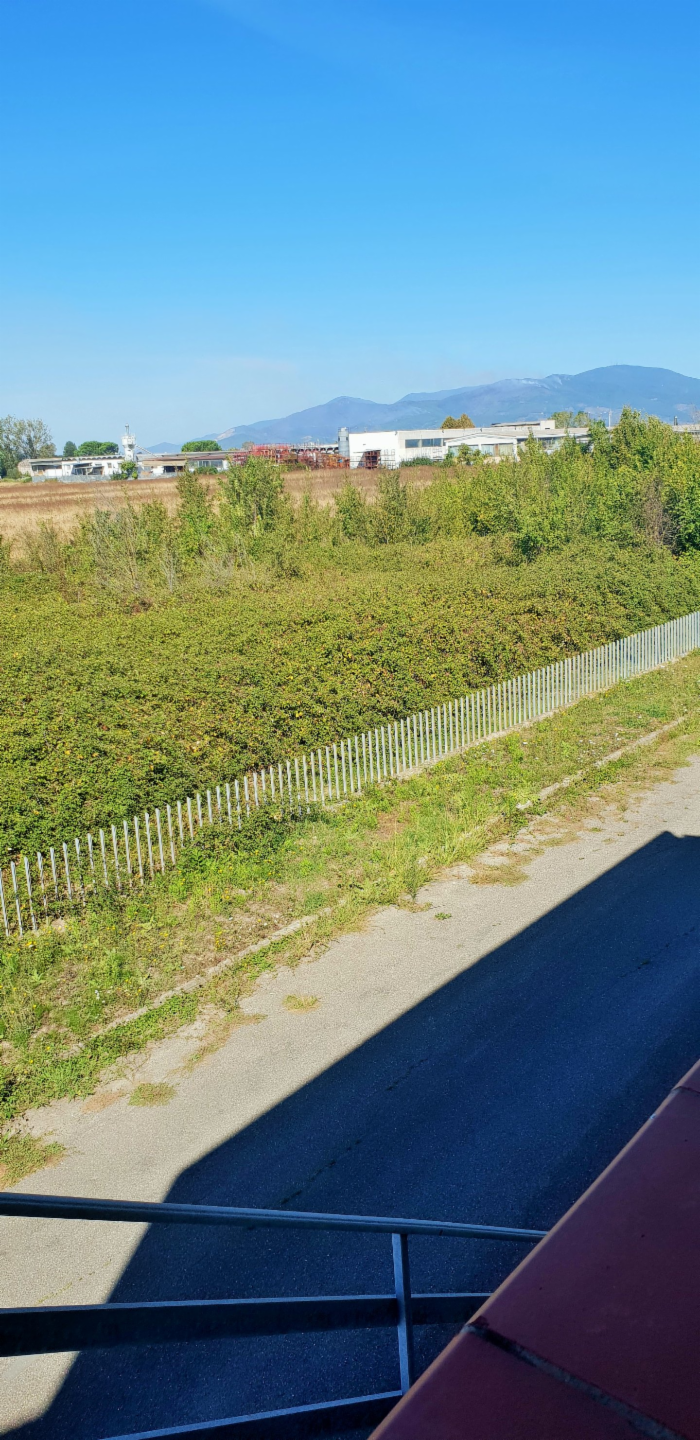 immagine annuncio 2 di 3