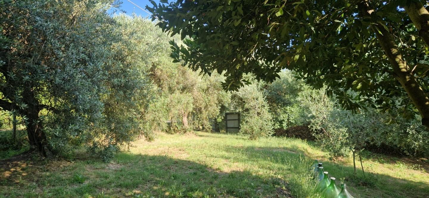 casa indipendente in vendita a Fauglia
