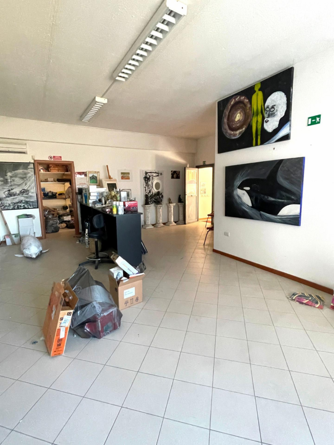 immagine annuncio 4 di 10