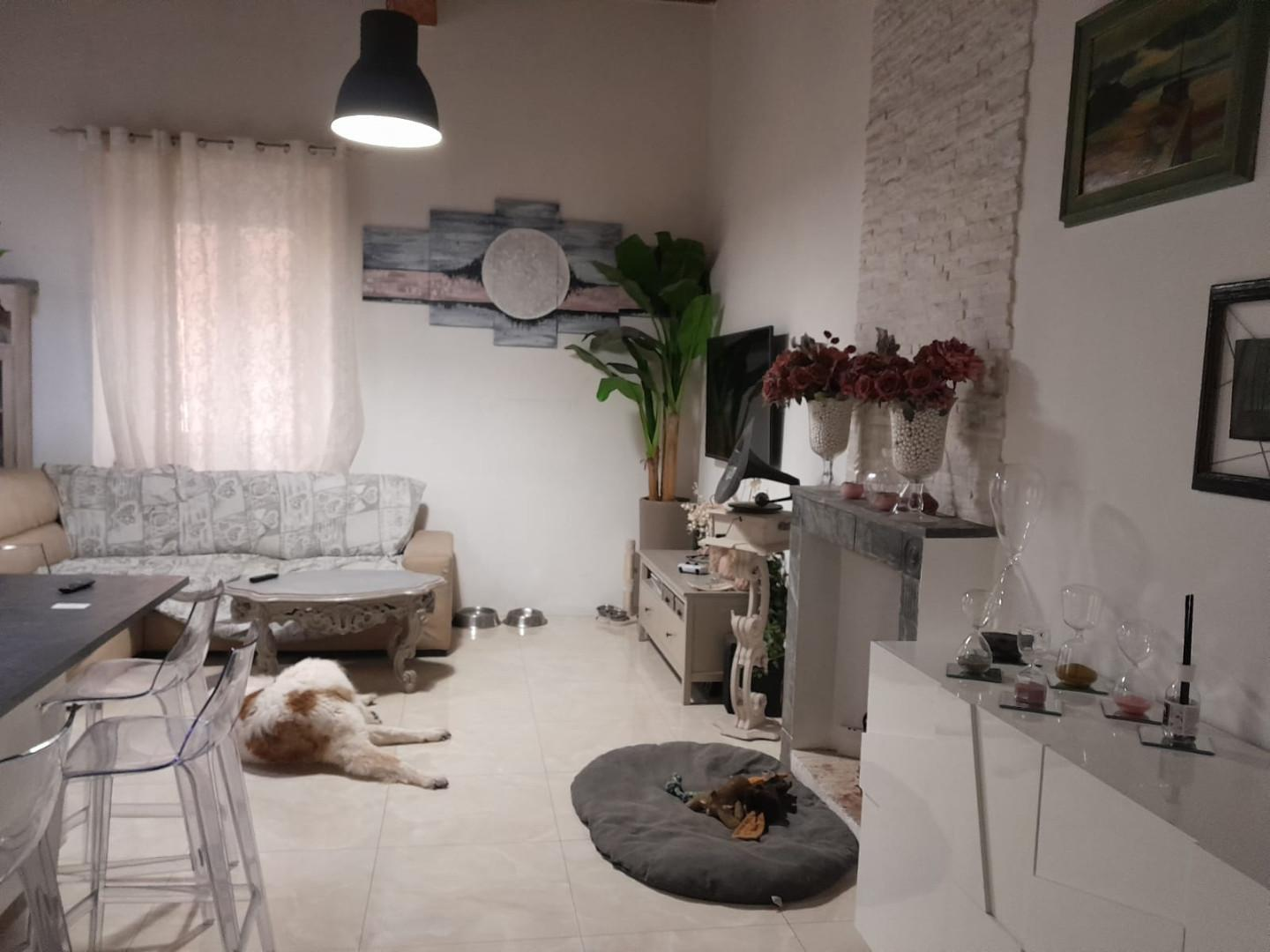 immagine annuncio 2 di 8
