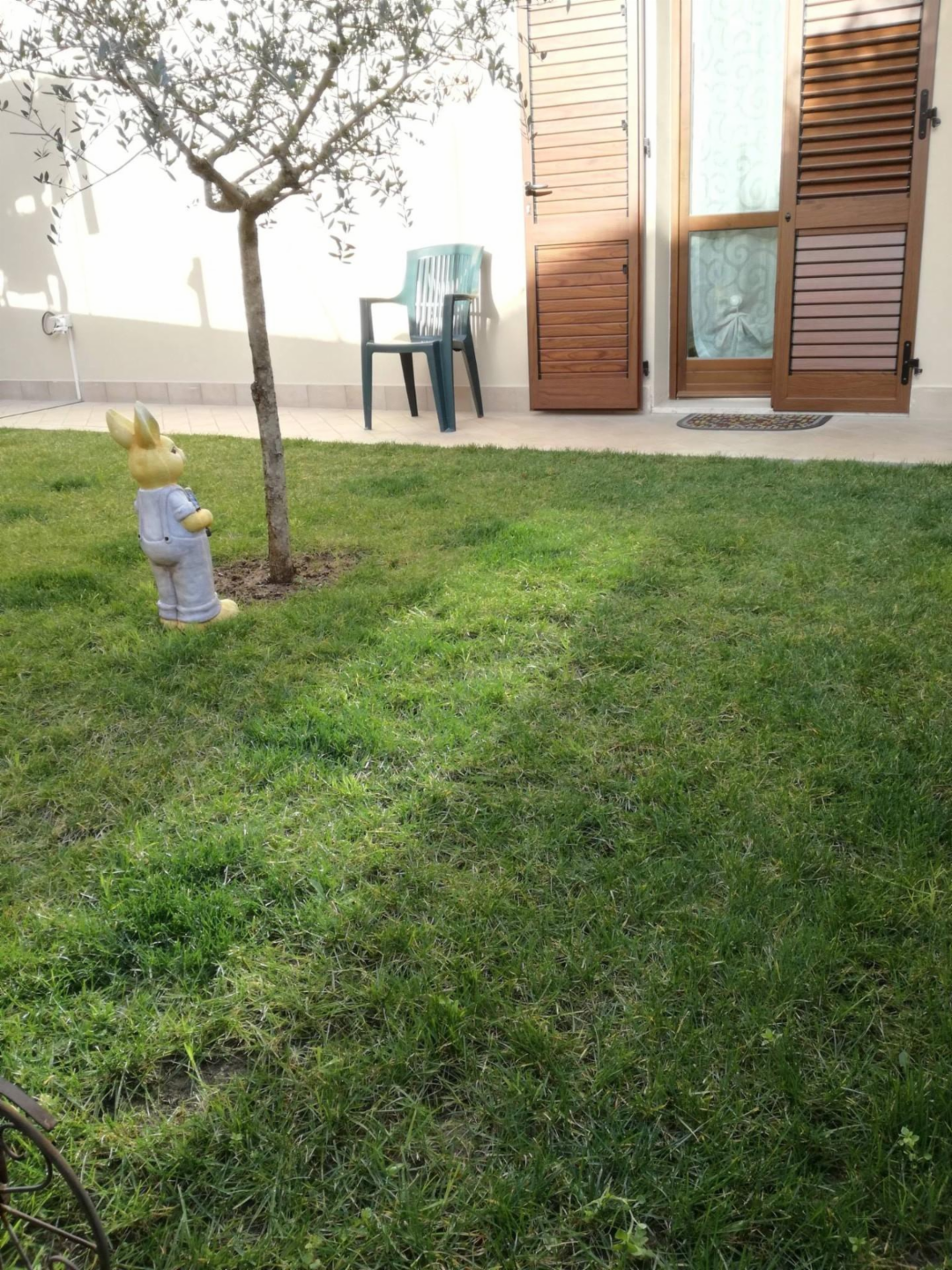 immagine annuncio 8 di 9