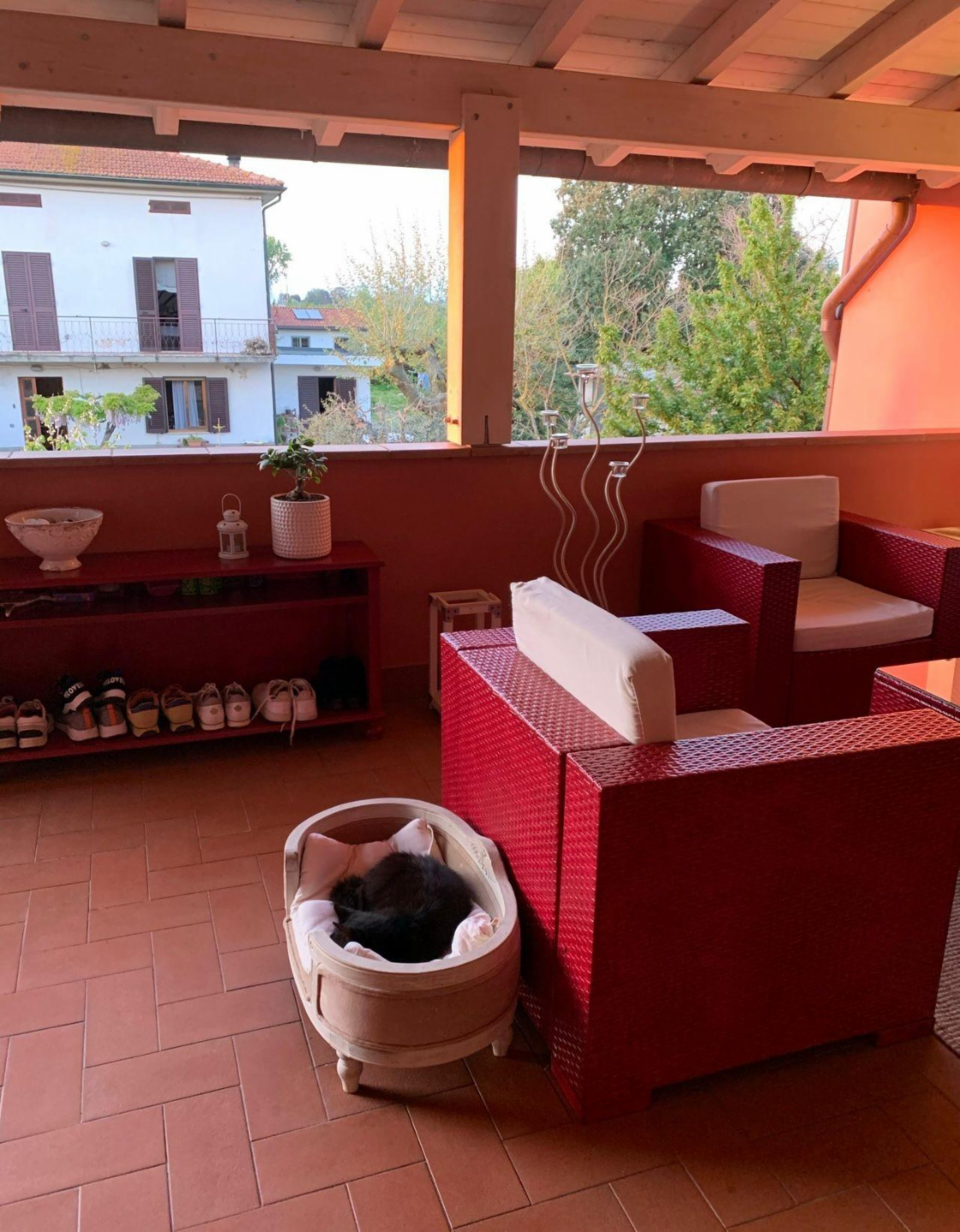 immagine annuncio 4 di 10