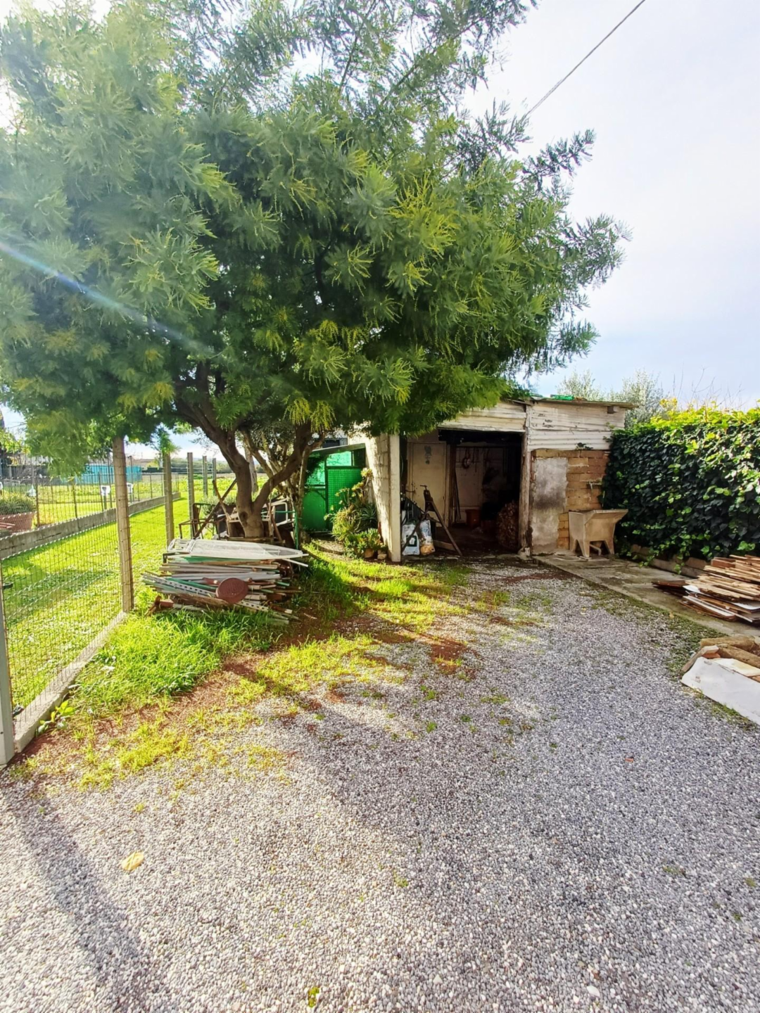 immagine annuncio 6 di 10