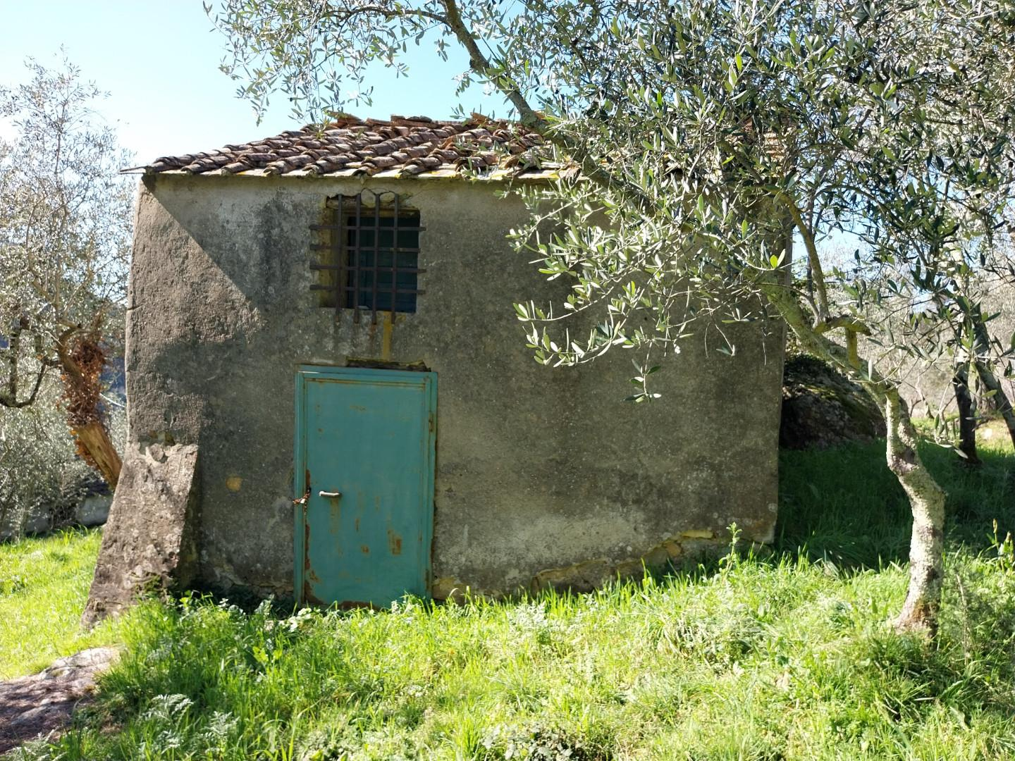 immagine annuncio 4 di 10