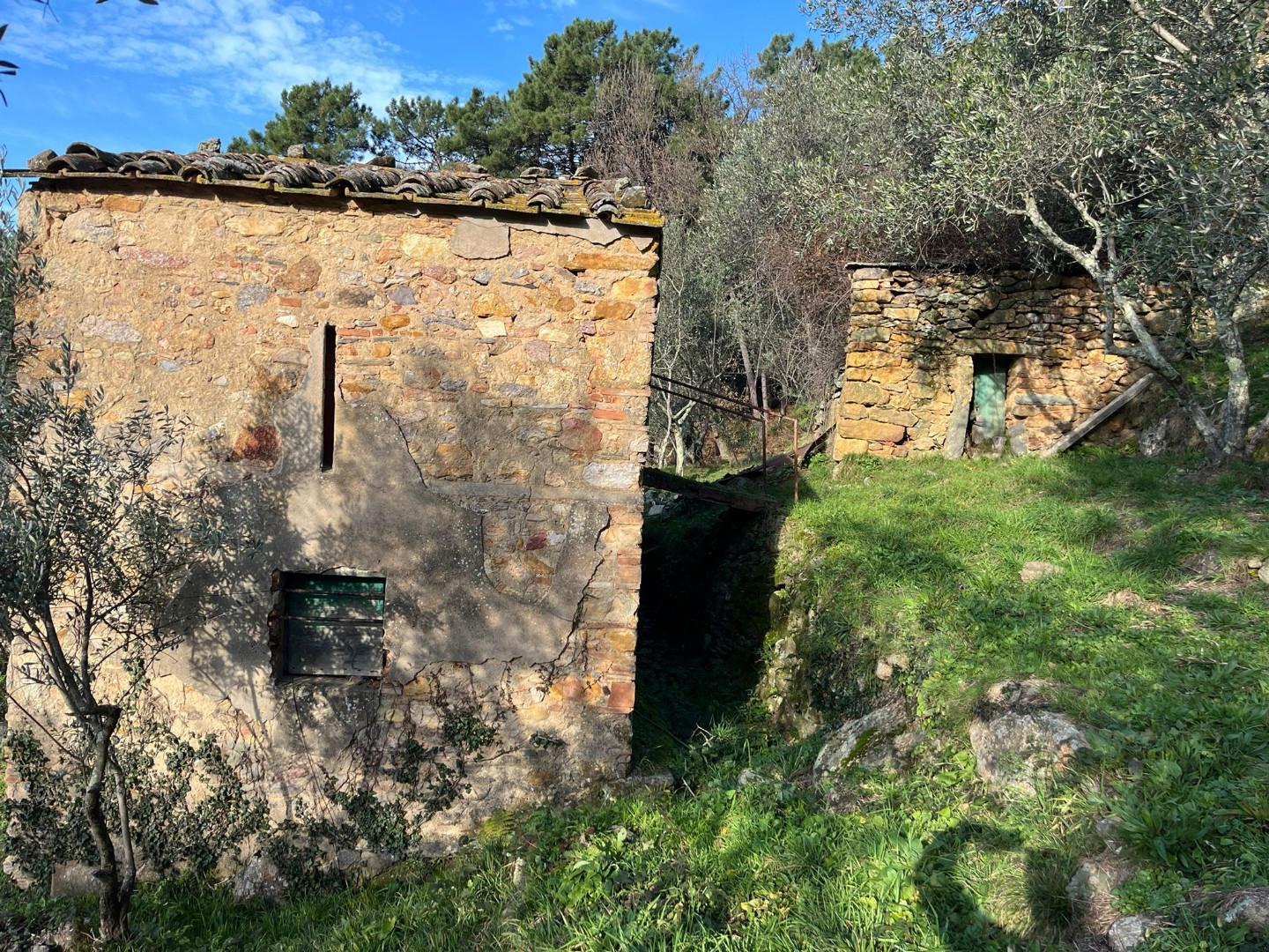 immagine annuncio 8 di 10