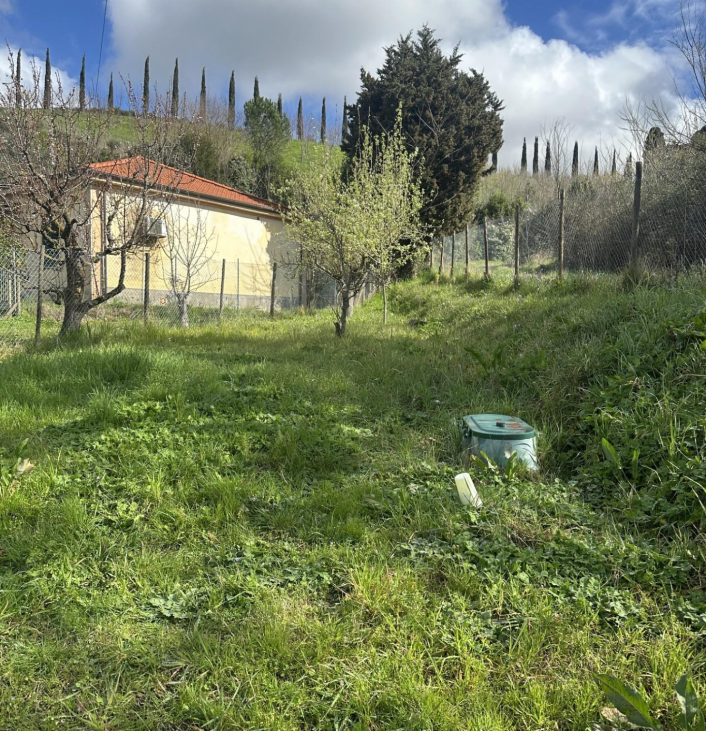 immagine annuncio 9 di 10
