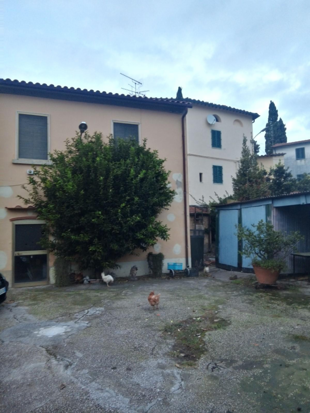 immagine annuncio 4 di 10