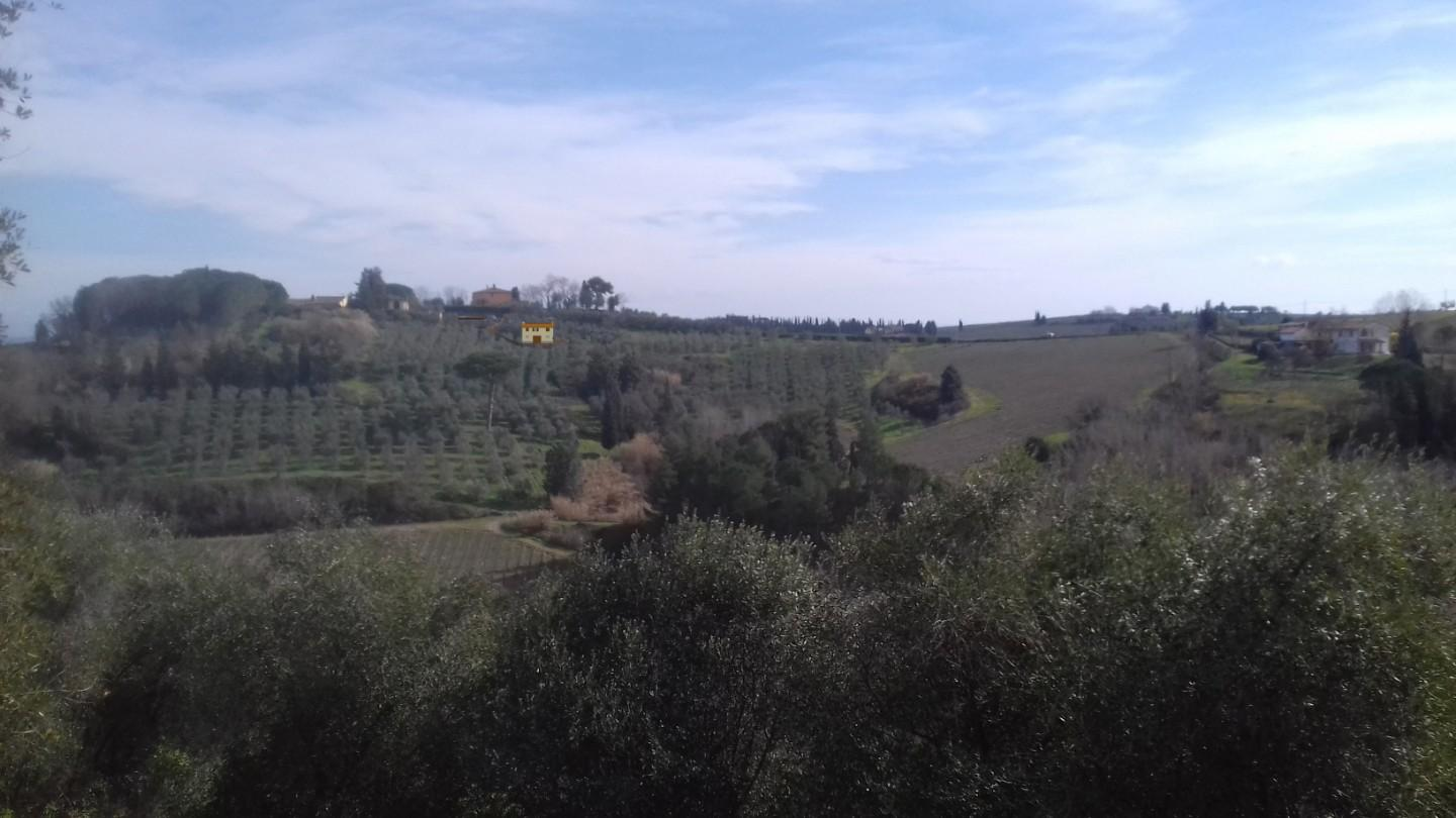 immagine annuncio 5 di 6