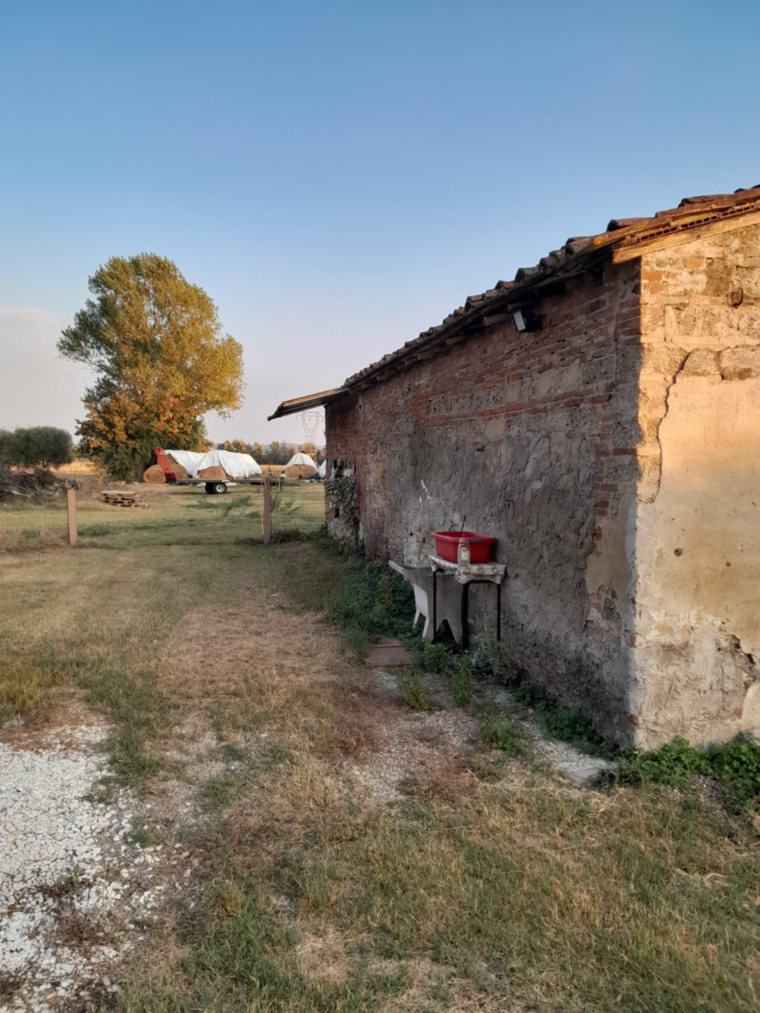 immagine annuncio 6 di 8