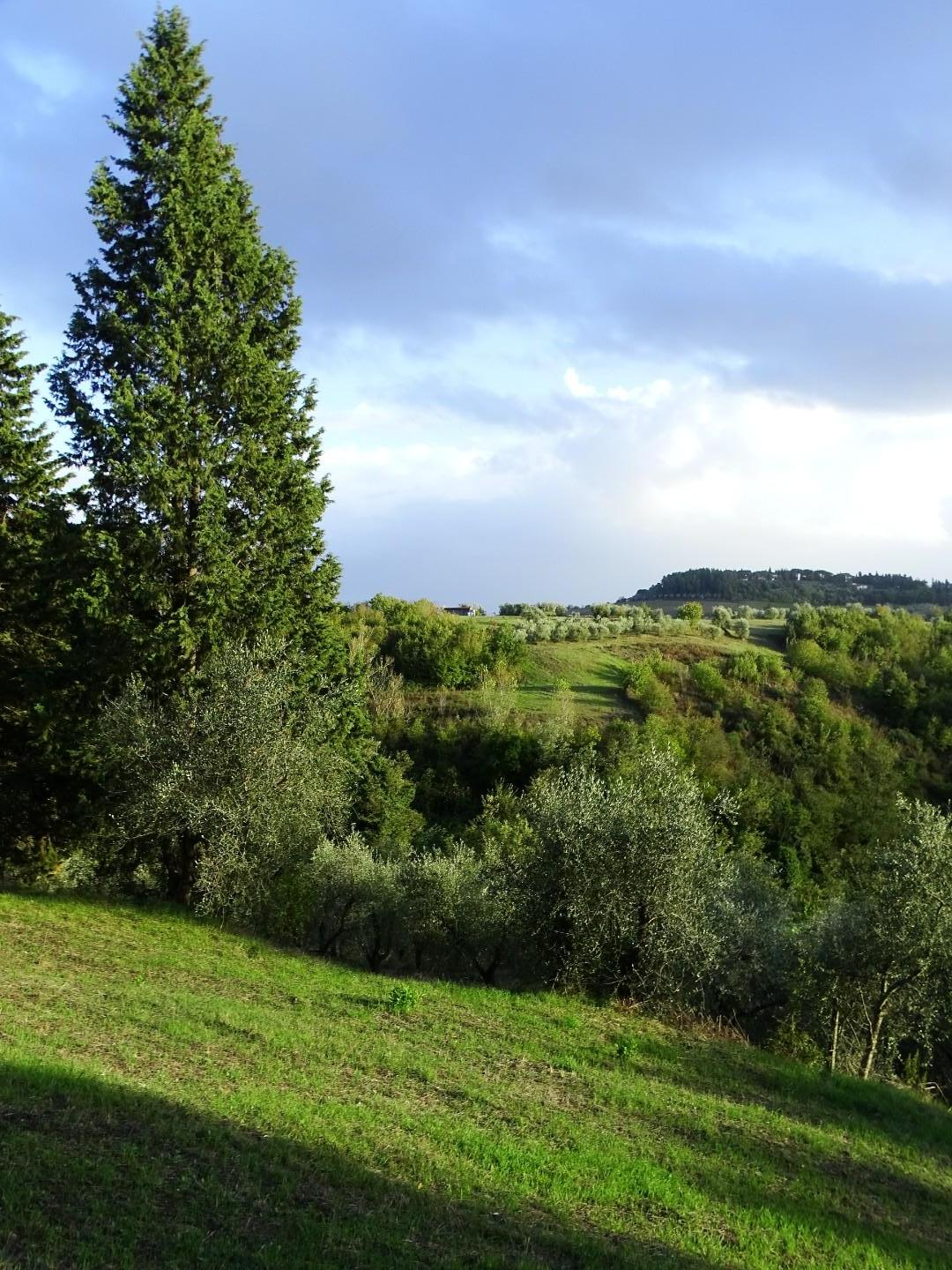 immagine annuncio 4 di 6
