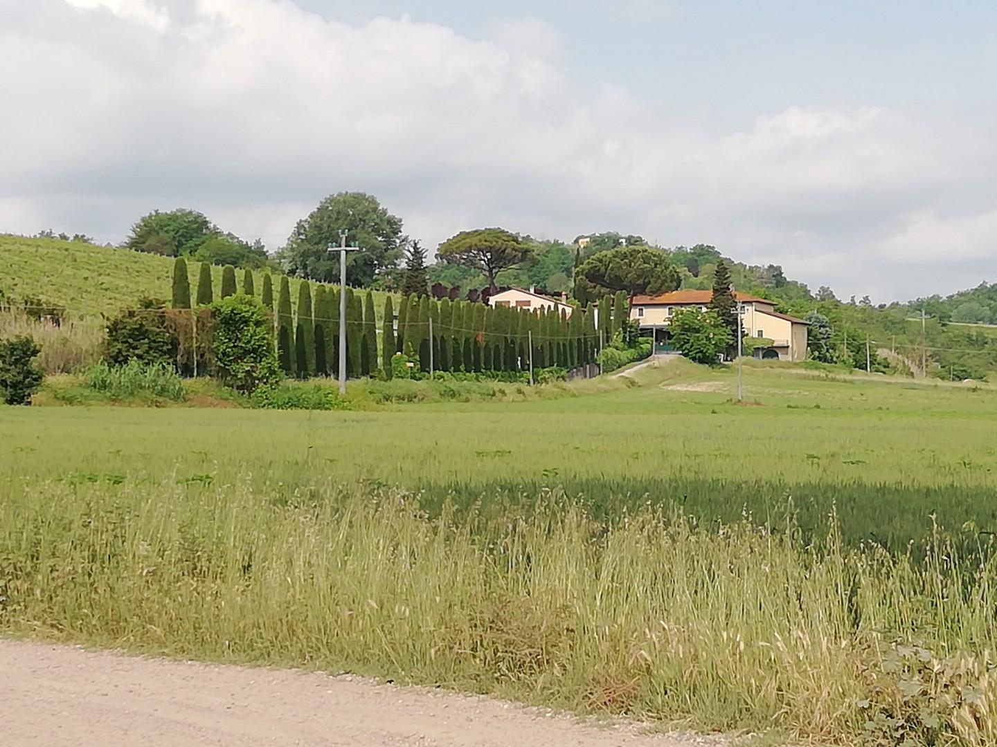 immagine annuncio 5 di 6