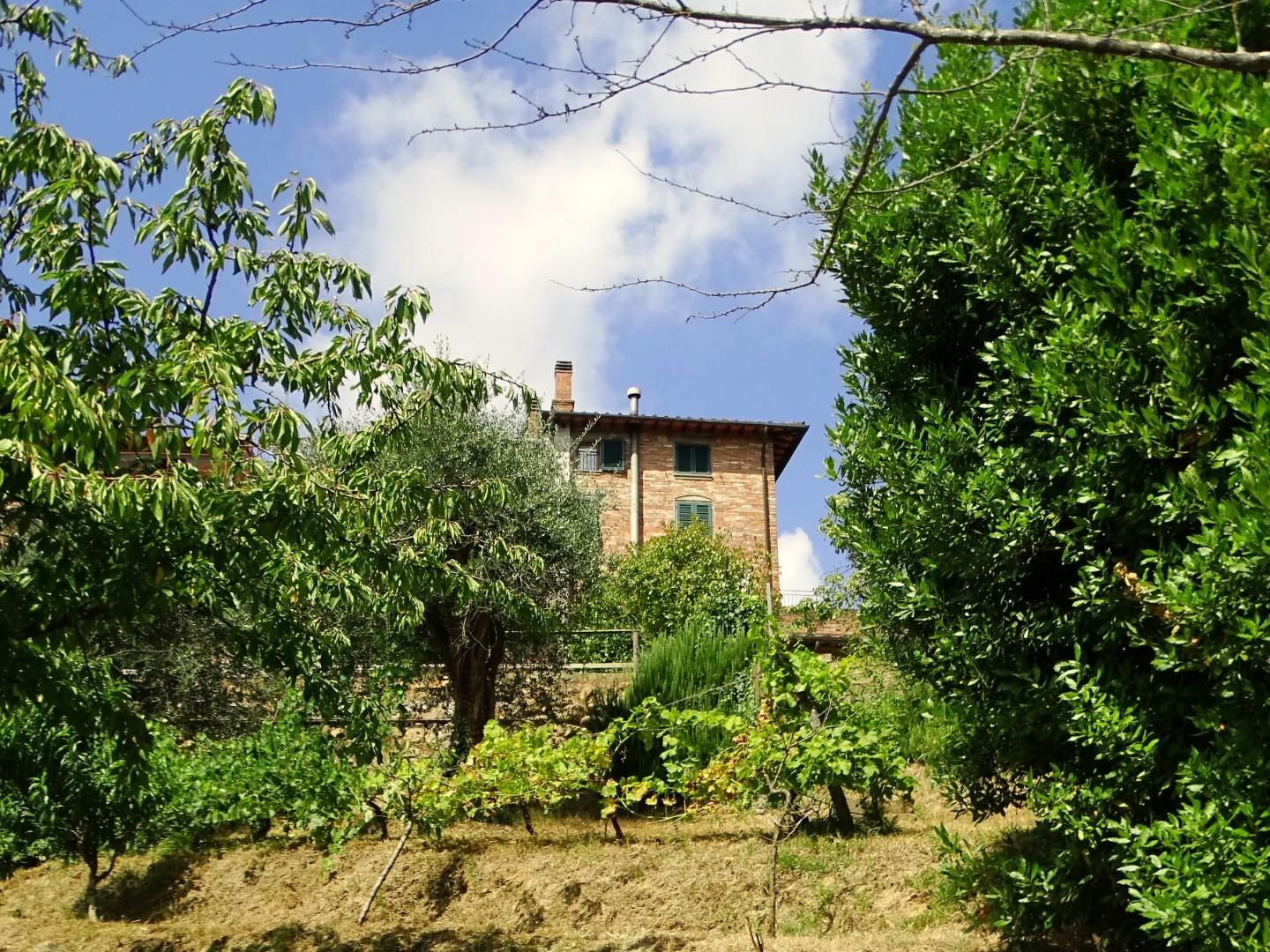 casa indipendente in vendita a Montopoli in Val d'Arno in zona Marti