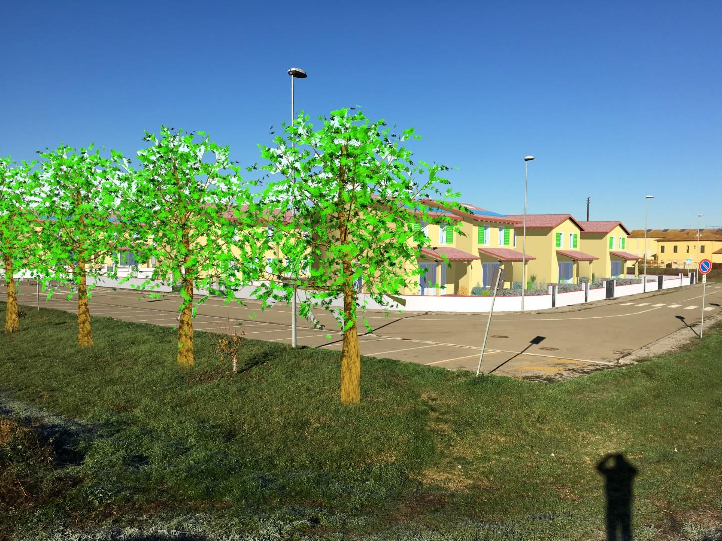 immagine annuncio 2 di 6