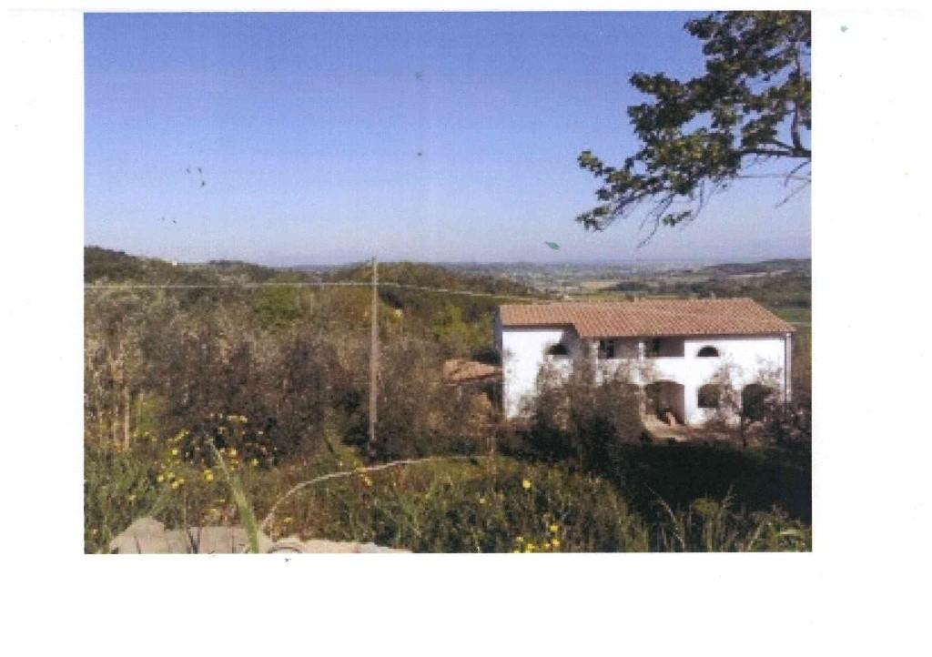 azienda agricola in vendita a San Miniato in zona Balconevisi