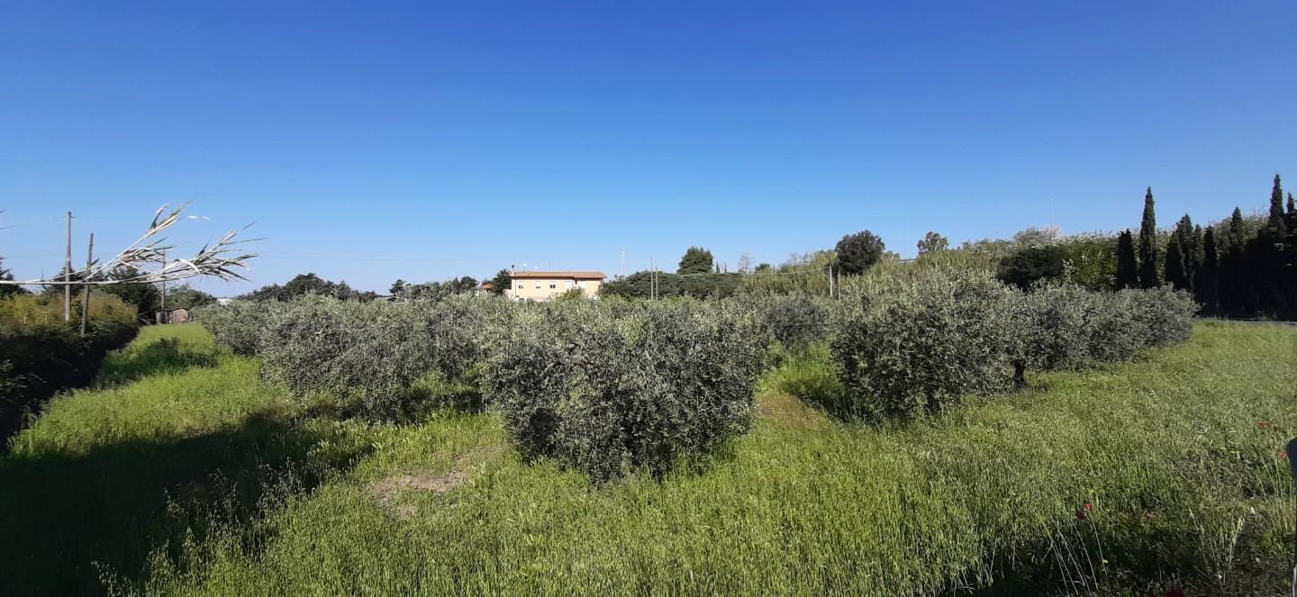 immagine annuncio 6 di 8