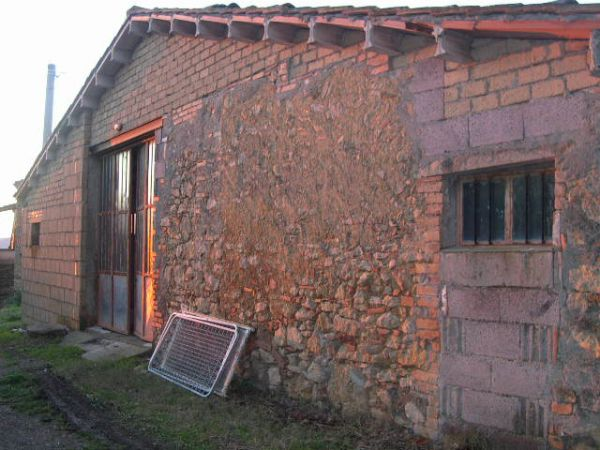 immagine annuncio 3 di 4