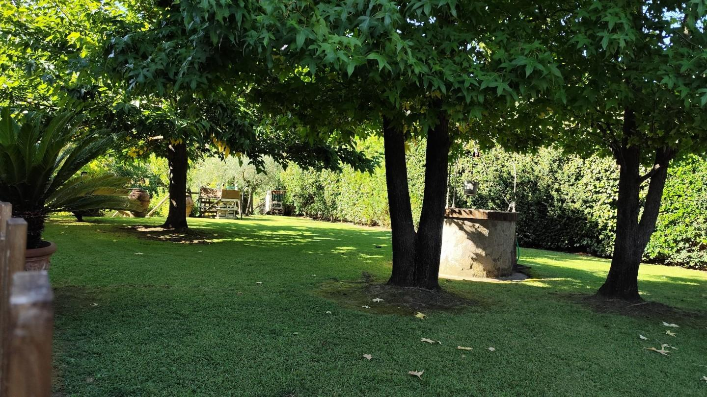 casa indipendente in vendita a Calci