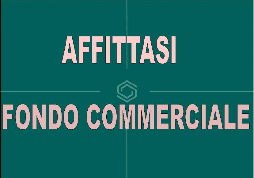 locale commerciale in affitto a Pisa