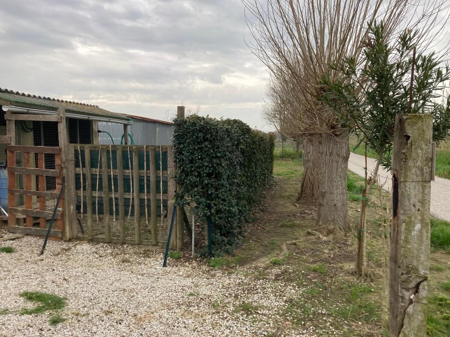 immagine annuncio 2 di 3