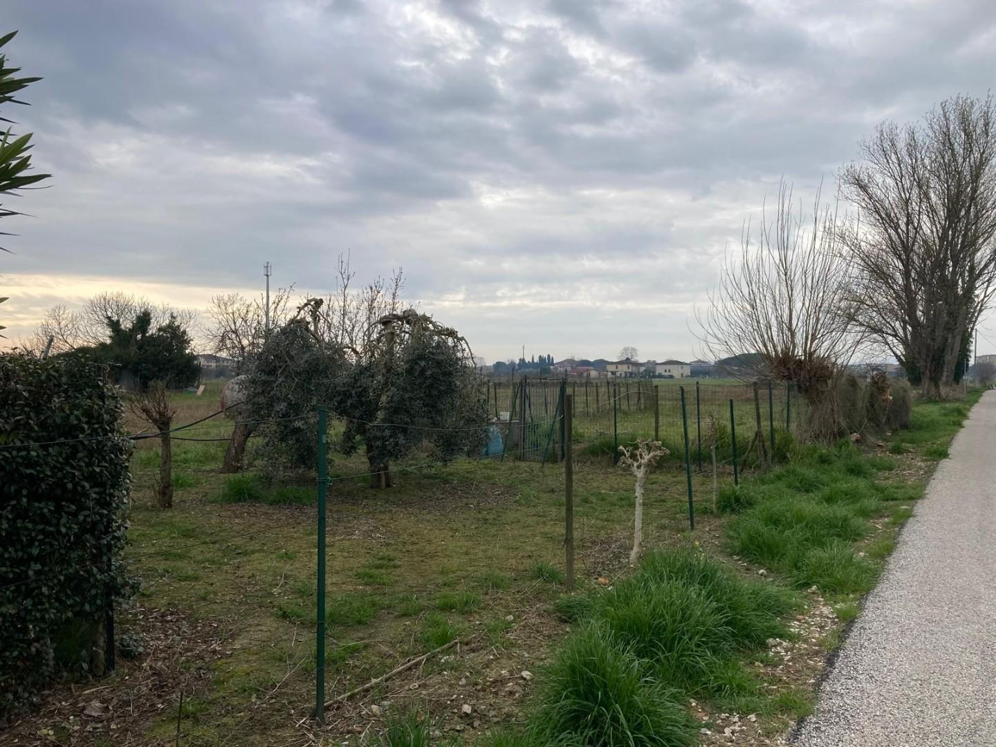 immagine annuncio 2 di 3
