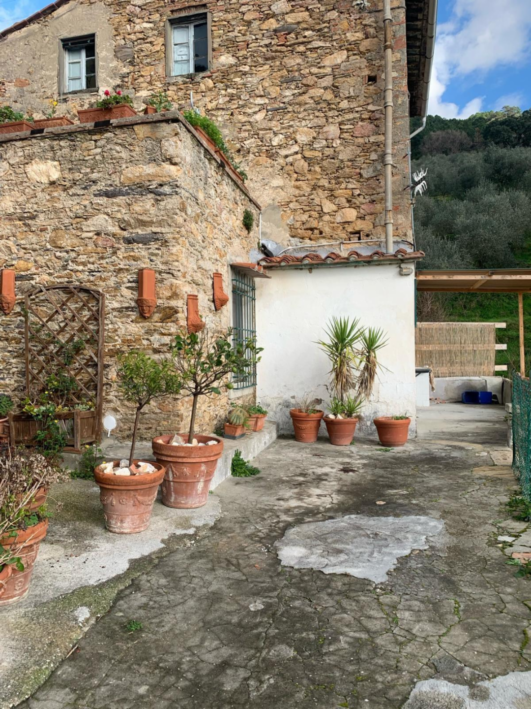immagine annuncio 2 di 10