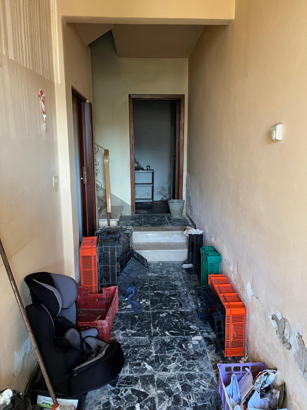 immagine annuncio 7 di 8