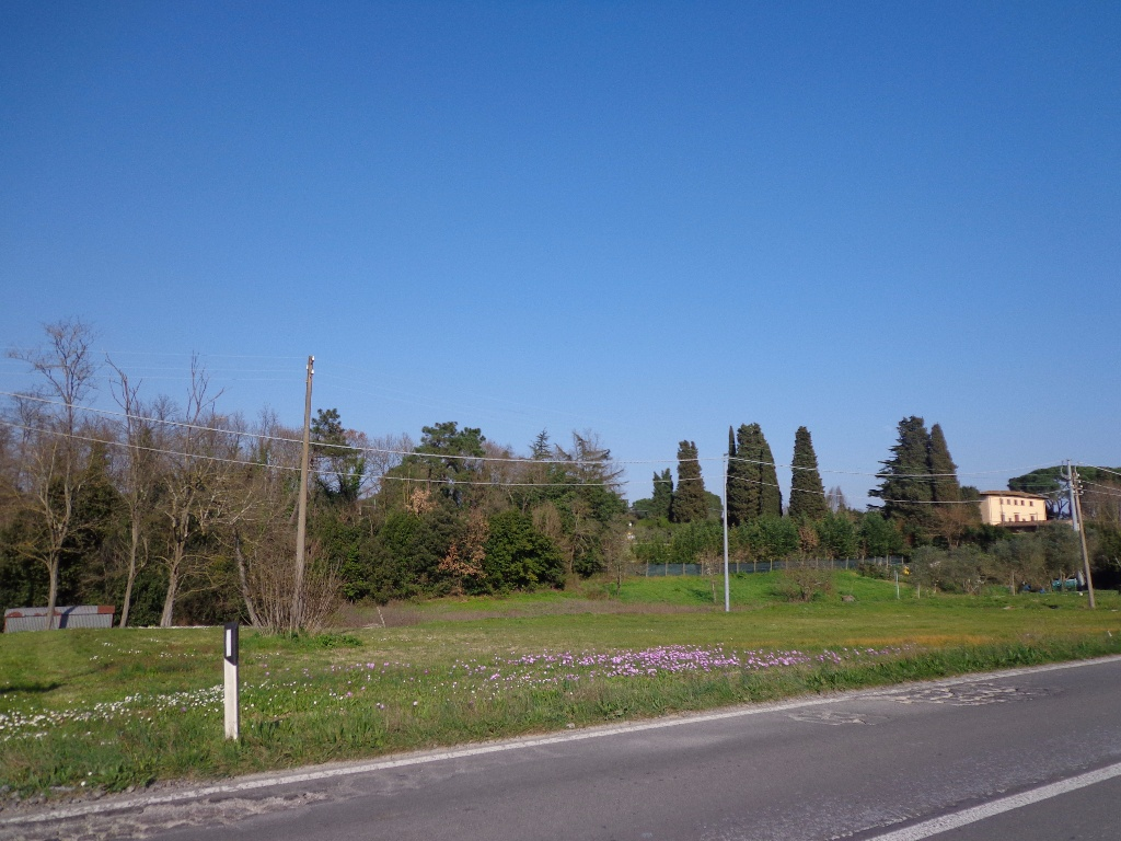 immagine annuncio 3 di 4