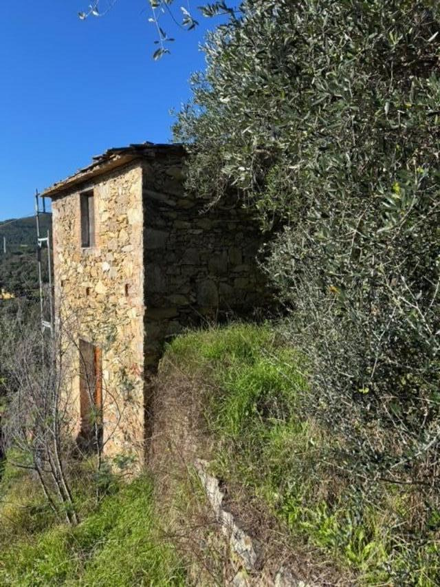 immagine annuncio 7 di 8