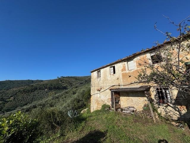 immagine annuncio 1 di 8