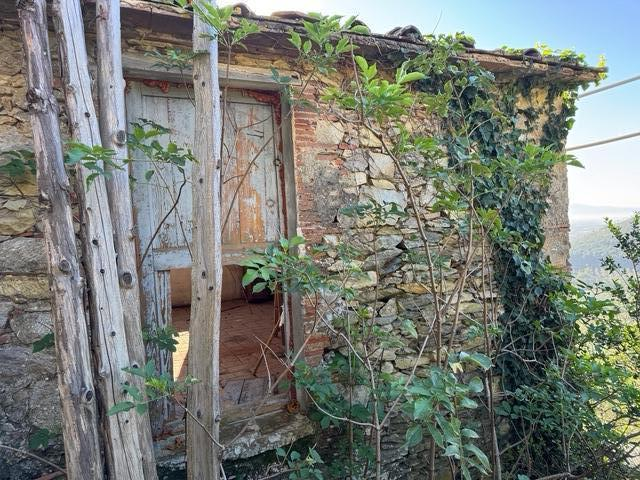 immagine annuncio 3 di 8