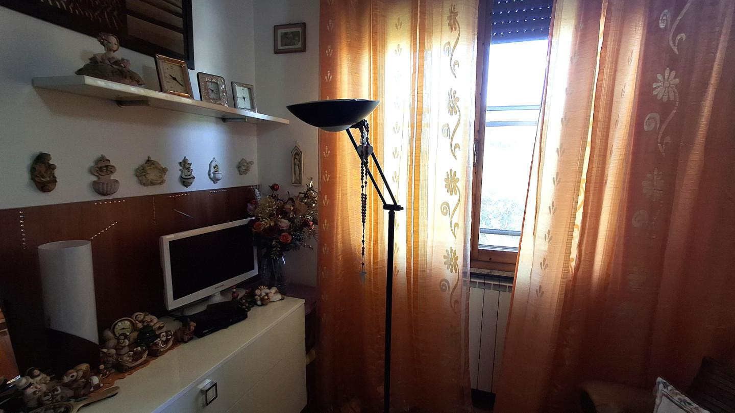 immagine annuncio 6 di 9