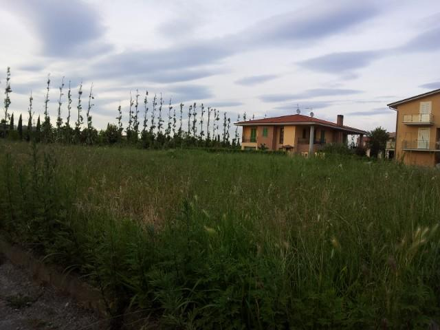 immagine annuncio 4 di 7