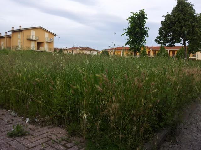 immagine annuncio 6 di 7