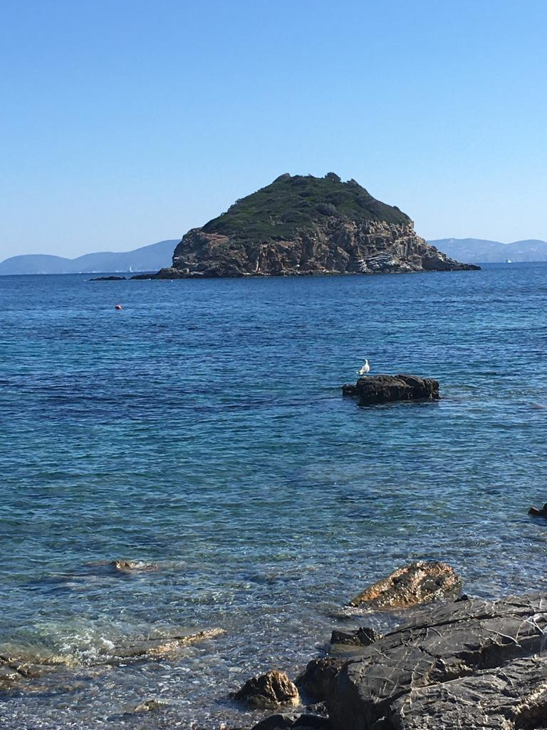 immagine annuncio 4 di 8