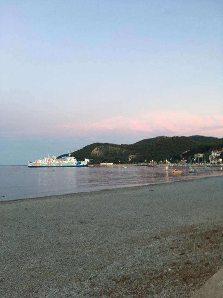 immagine annuncio 5 di 8