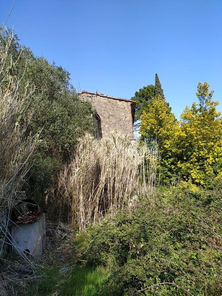 immagine annuncio 2 di 7