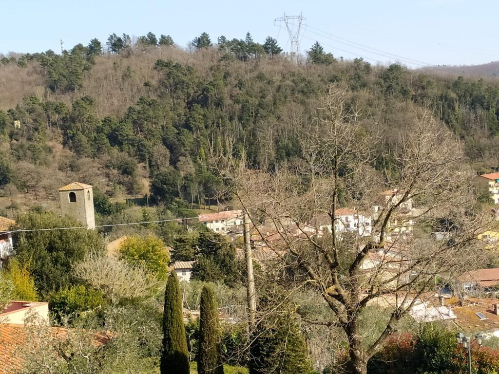 immagine annuncio 6 di 7