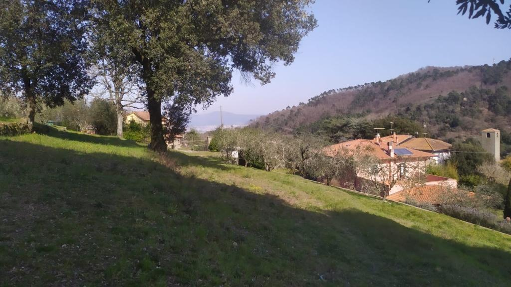 immagine annuncio 5 di 7