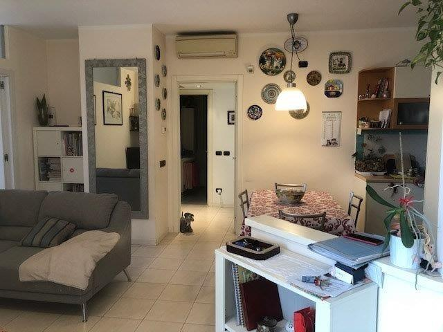 immagine annuncio 1 di 7