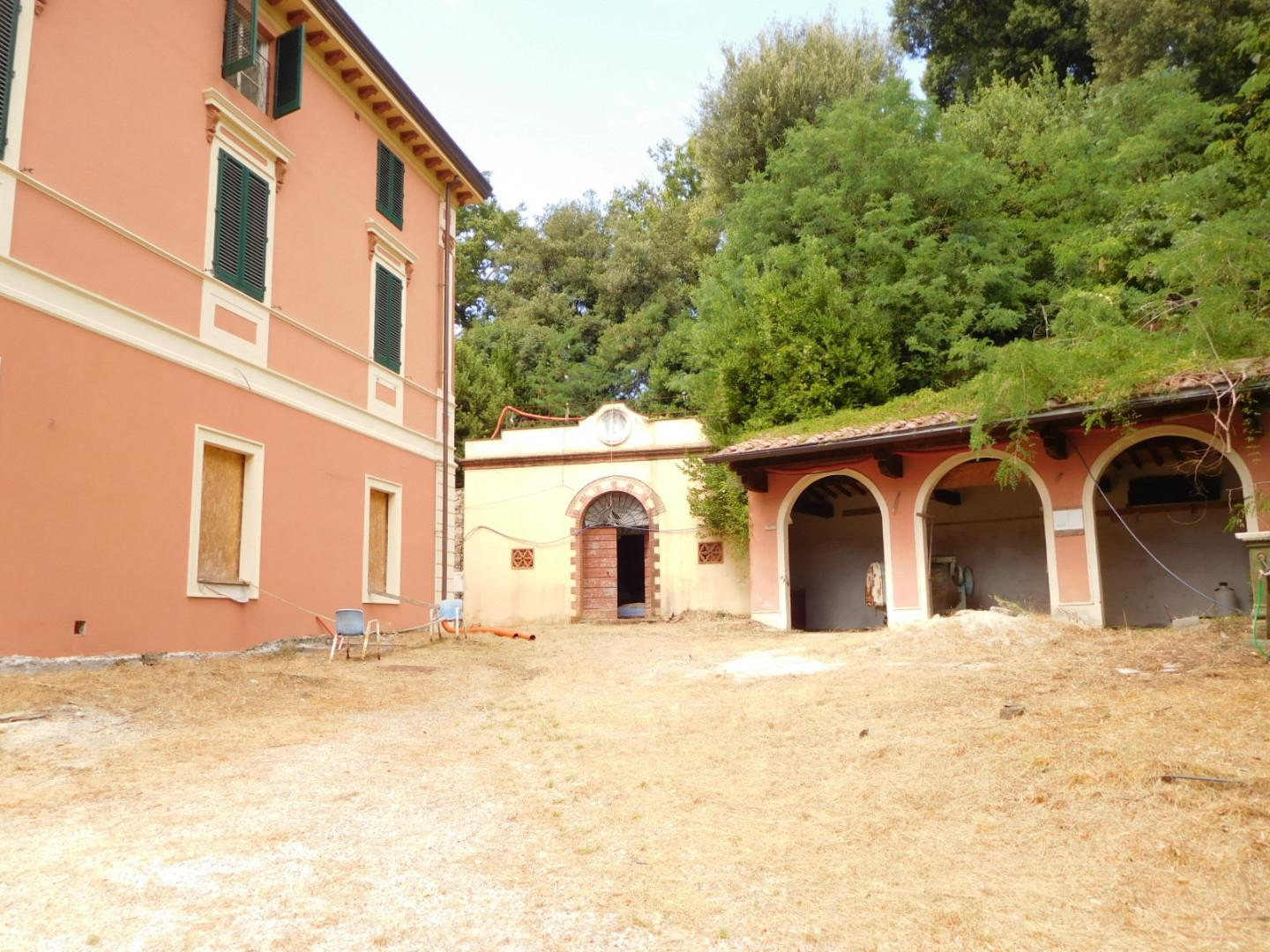 immagine annuncio 1 di 6