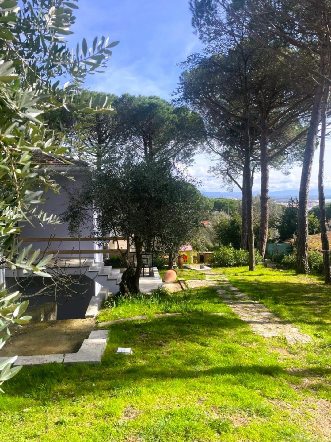 immagine annuncio 4 di 10