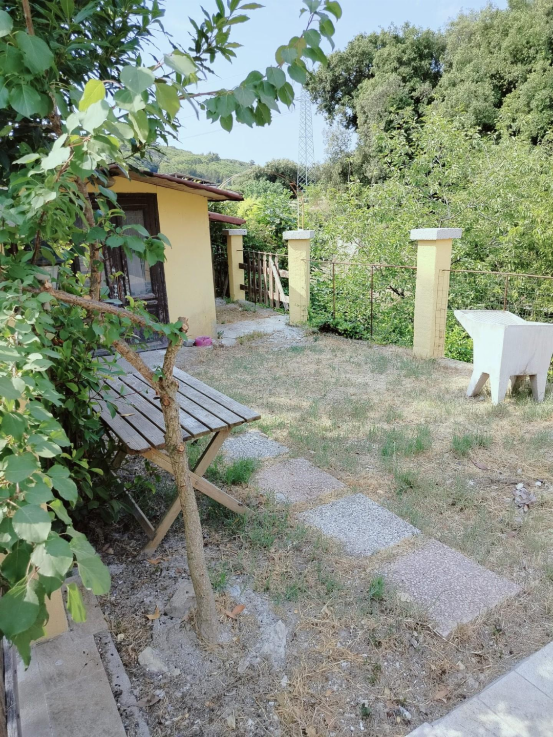 immagine annuncio 2 di 10