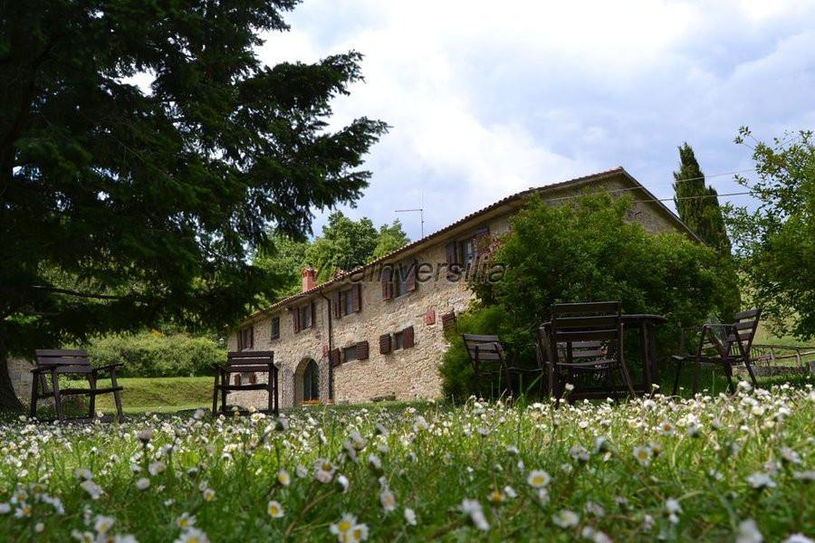 immagine annuncio 1 di 3