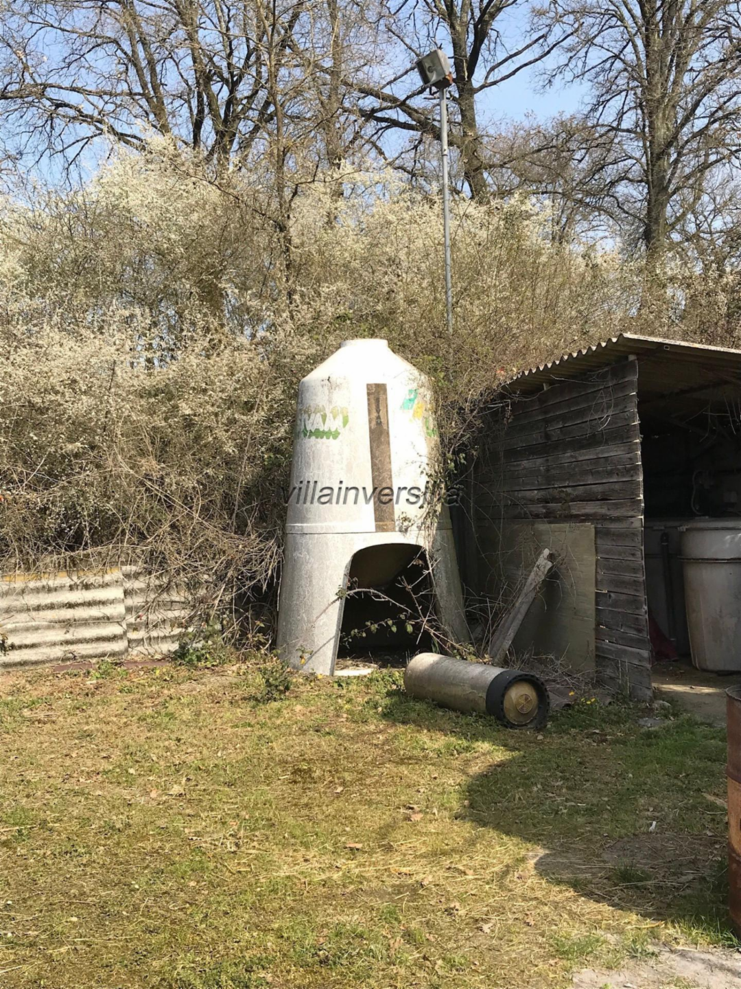 immagine annuncio 9 di 10