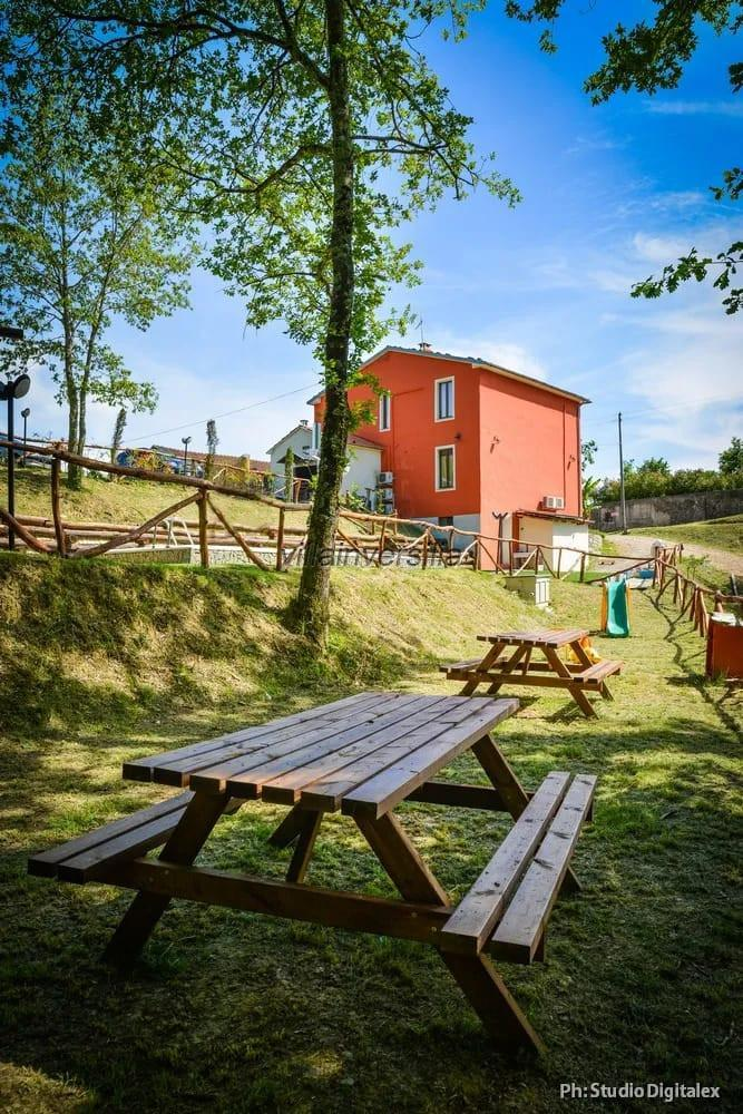 immagine annuncio 3 di 10