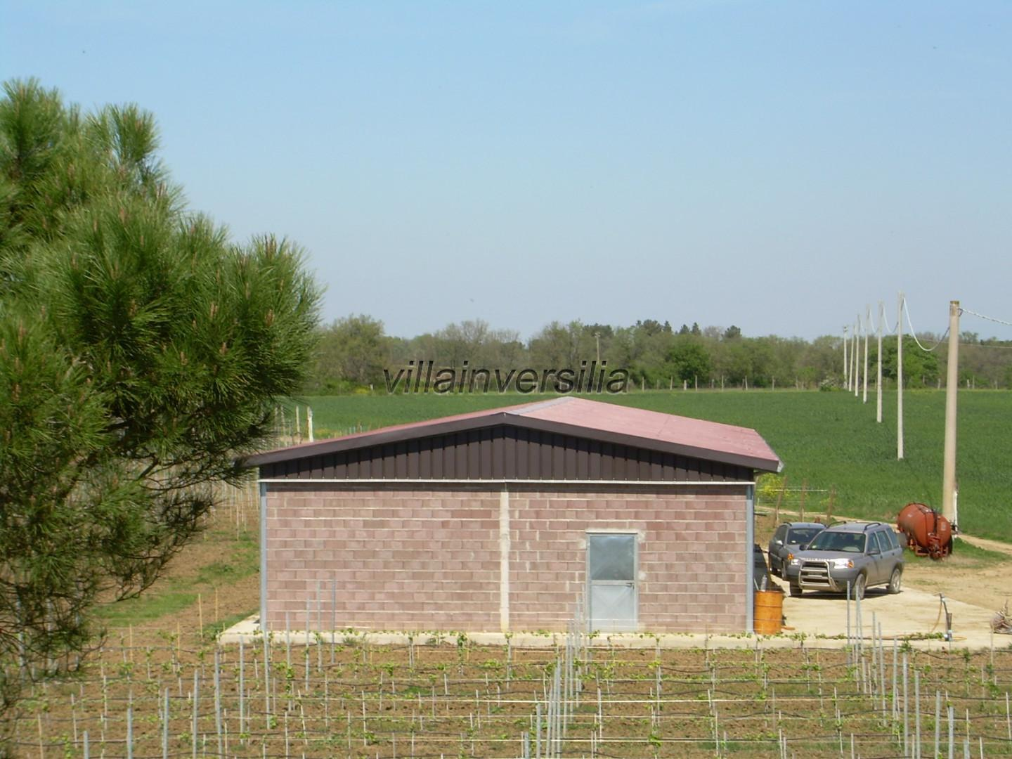 immagine annuncio 3 di 8