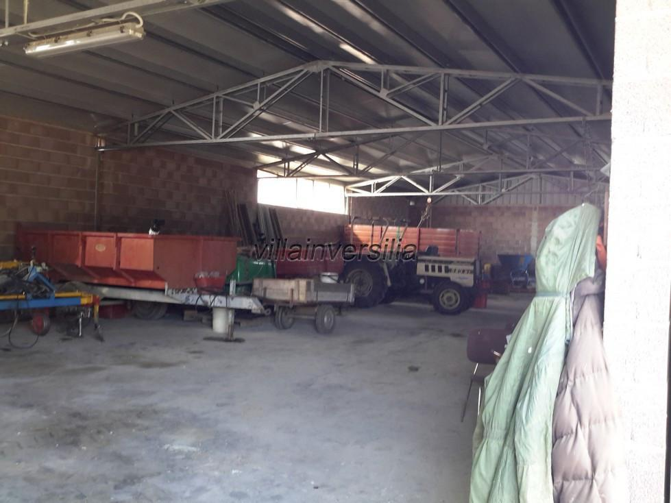 immagine annuncio 5 di 8