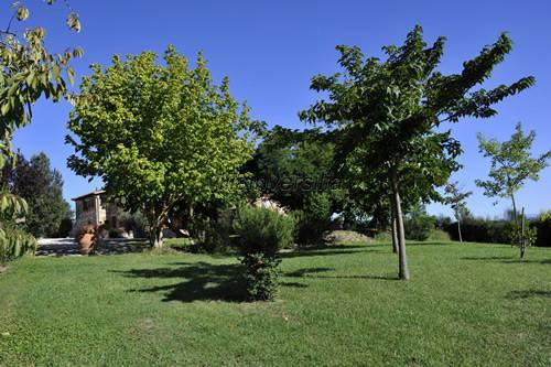immagine annuncio 0 di 7