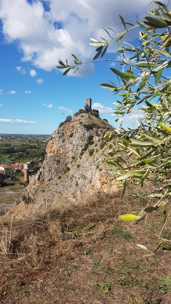 immagine annuncio 5 di 6