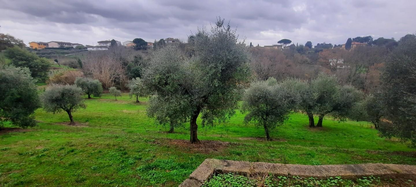 immagine annuncio 4 di 7